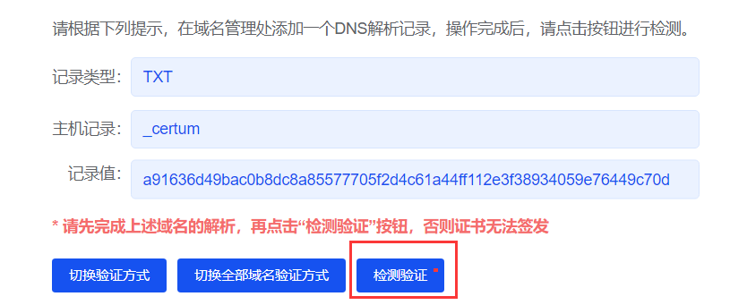 TXT解析记录示意图